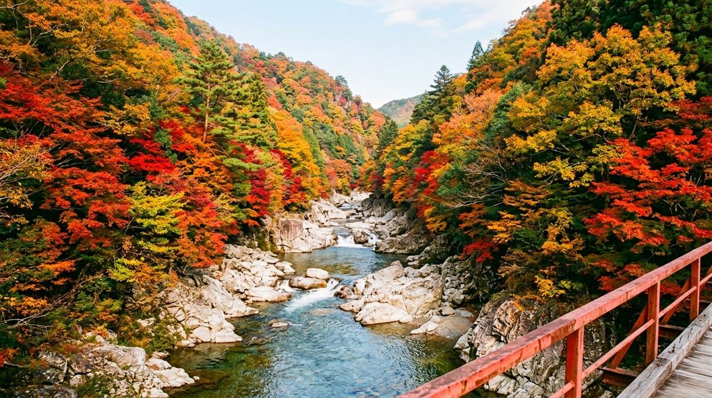 橋の上から見たべふ峡の清流と紅葉