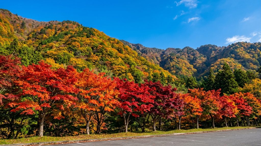 石鎚スカイラインの駐車場から見た紅葉の山